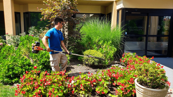Landscaper working around garden and shrubs. Some are a family owned company or a family owned business but still needs to go through certification to be able to provide excellent services.