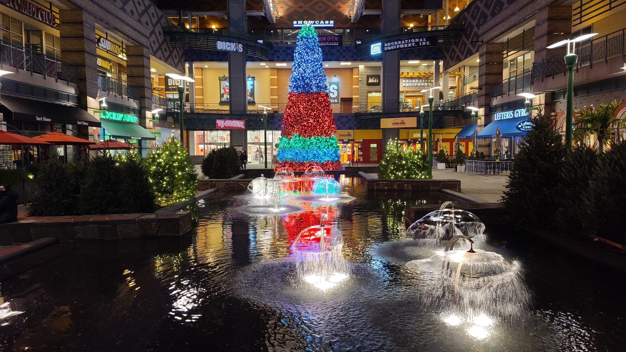 Colorful christmas tree next to body of water