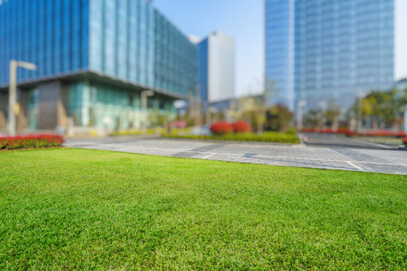 Beautiful lawn with warm season grasses and no bare spots in the early summer. You can follow the fall landscaping maintenance tips and lawn care tips to have this on your property.