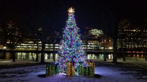 commercial decor tree