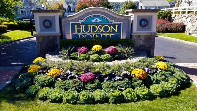 expert plant replacement services provided by Neave Group bring color and life to commercial property entrance 