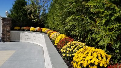 colorful and lush flowers and plants replaced by Neave Group bring new life to this commercial property