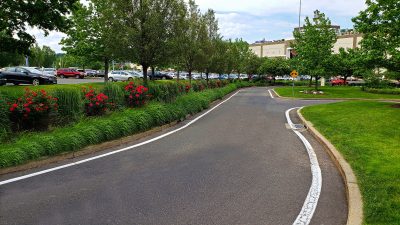 Commercial property roadway lined with the best plants for the area and designed with care by Neave Group