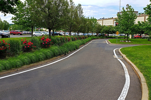 Well maintained landscape of the roadside curb of the property