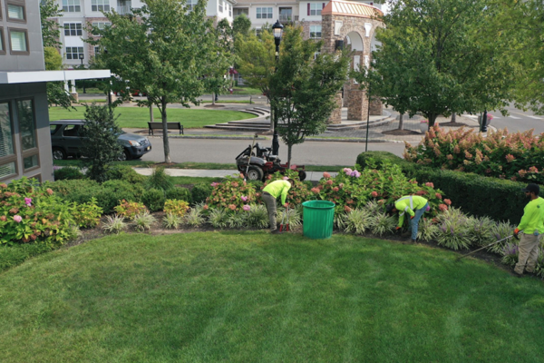 Workers maintaining the lawn and plants in the commercial property as part of the property maintenance