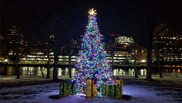 Christmas tree lighting display for your property's outdoor space