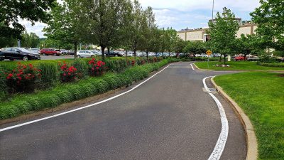 flower beds along commercial landscape