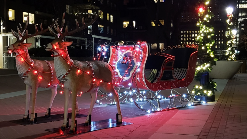 holiday display of reindeer and santas sleigh