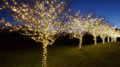 LED Lights Tree
