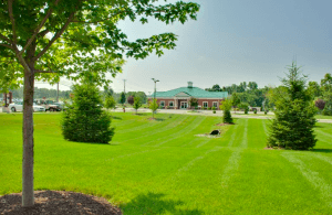 Landscaping maintenance tips for businesses in fall 