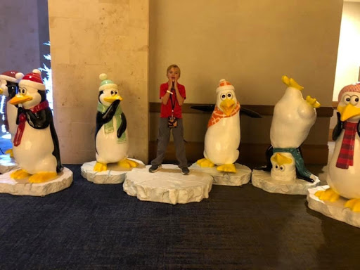 boy hanging out with penguin display