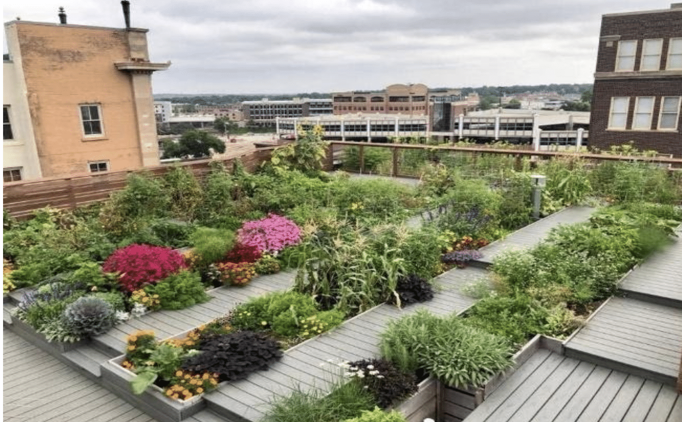 Modern Rooftop Garden Ideas Design Talk