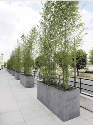 safe outdoor landscaping space