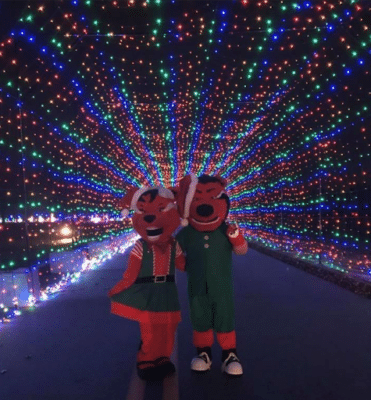 Beautiful tunnel of lights with christmas characters
