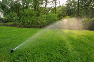 types of sprinklers