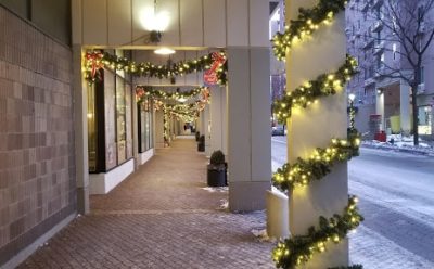 foliage decorated walkway at outdoor shopping center